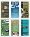 Linha do Tempo - Banners contando 60 anos de Histria da Justia Eleitoral